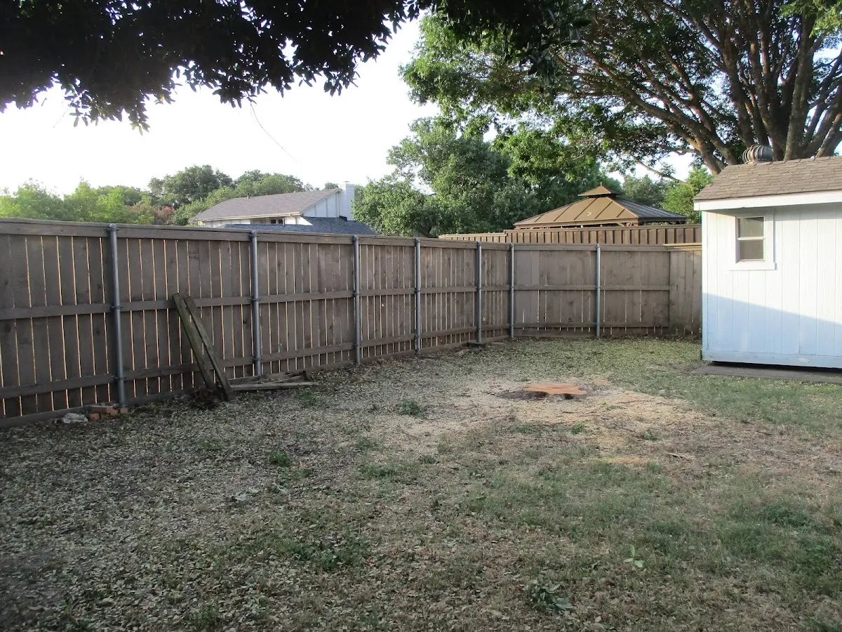 Cleared yard after professional tree removal in Altmar